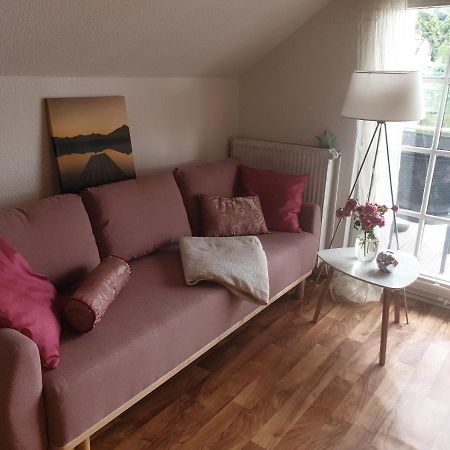 Apartment Am Stadtsee Molln Ngoại thất bức ảnh